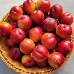 산지직송 한정판매 고당도 신비복숭아 1kg (18과 내외) - SSG.COM
