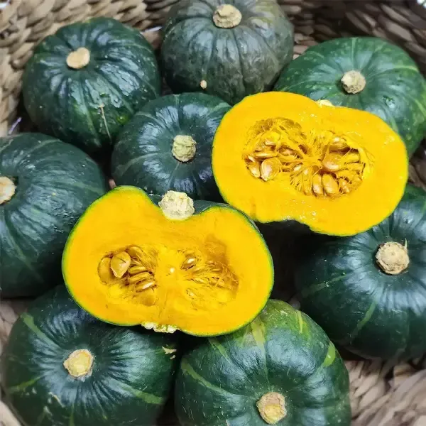 [11번가] 제주 보우짱 미니 밤호박 2kg (300-700g) 정품 실중량