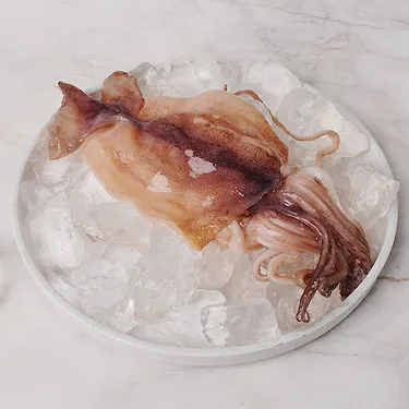 손질오징어 급냉 통오징어 신선 냉동오징어 구이 볶음용 500g
