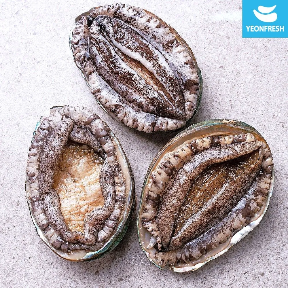 [연프레시][APP전용][최종가15,970원]완도 활전복 1kg 9-10미 [산소팩, 무료배송] : 롯데ON