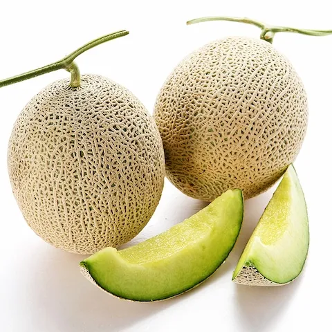 국내산 머스크 멜론 2.5kg 1+1 (총 2수)