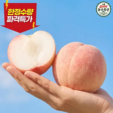 [산지직송] 아삭한 딱딱이 백도 복숭아 대과 2kg 외