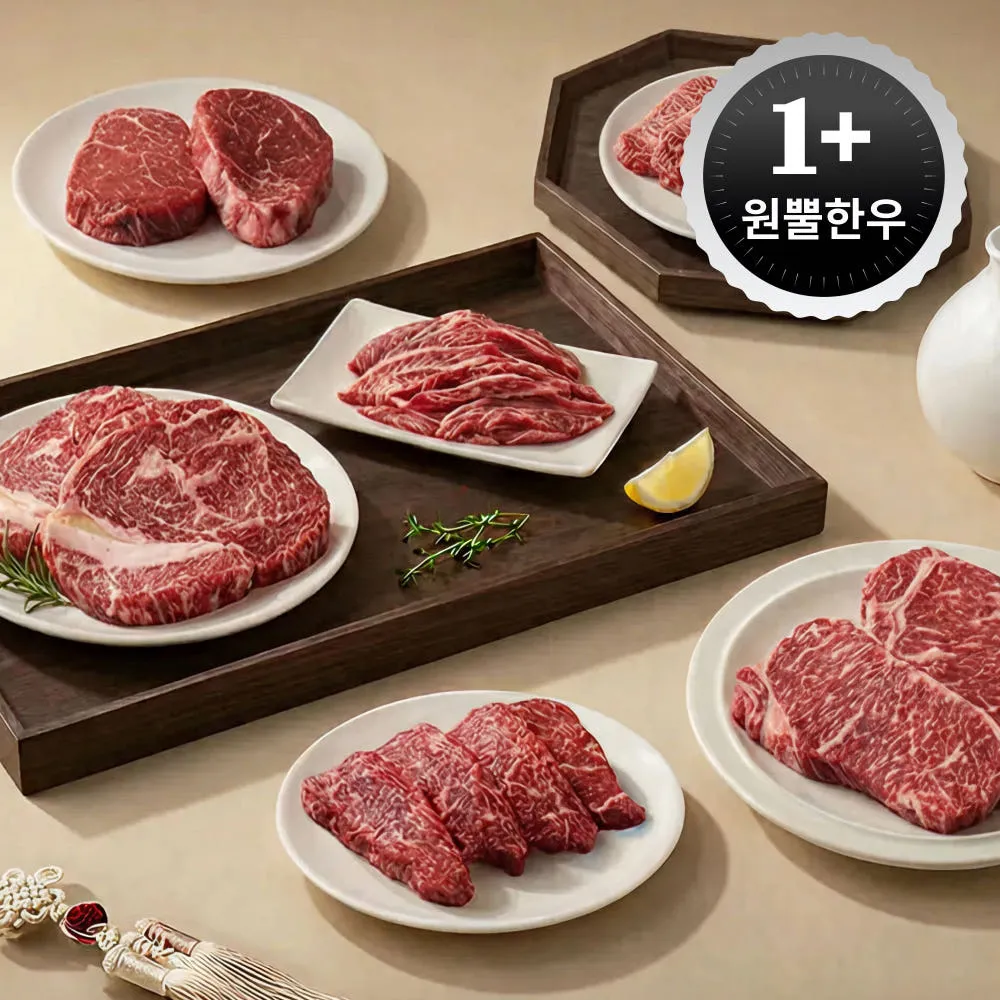 1+ 거세한우 살치살 등심 안심 치마살 갈비살 채끝 부채 업진살 토시살 소고기 구이용 선물
