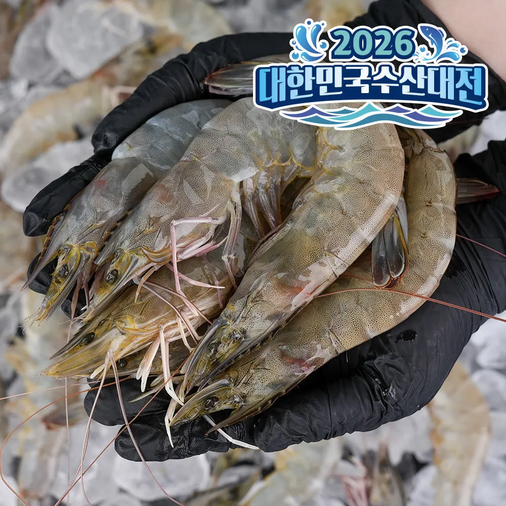 국산 활 흰다리새우 1kg (35미 내외)