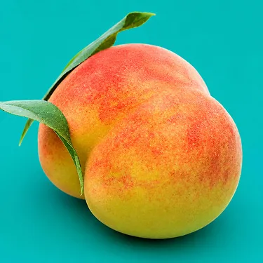 딱딱이 털복숭아 아삭한 복숭아 고당도 산지직송 제철복숭아 소과 1kg+1kg 2kg+2kg | 톡딜