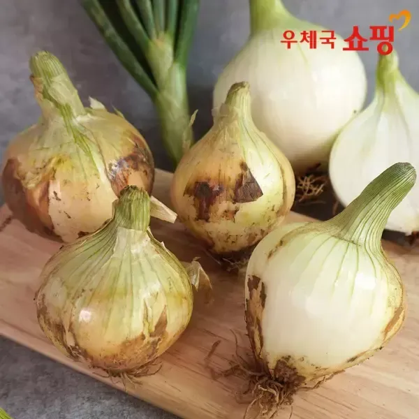 [우체국쇼핑] 26년 무안 황토밭 만생양파 3kg 중상혼합-모바일 11번가