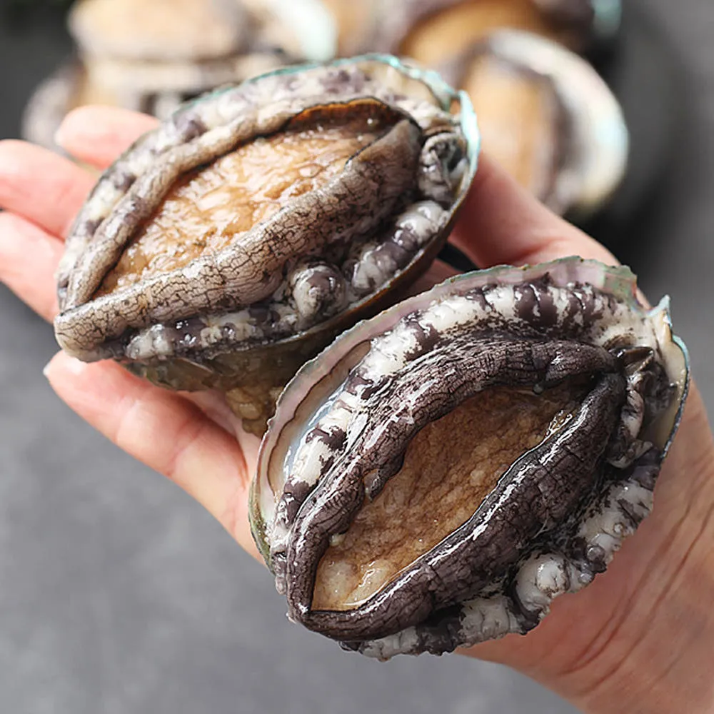완도 활 특대 전복 1kg (9-10미)