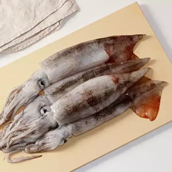 [T쇼페] 국내산 당일조업 서해안 생물 오징어 얼음포장 700~800g (3~5미)