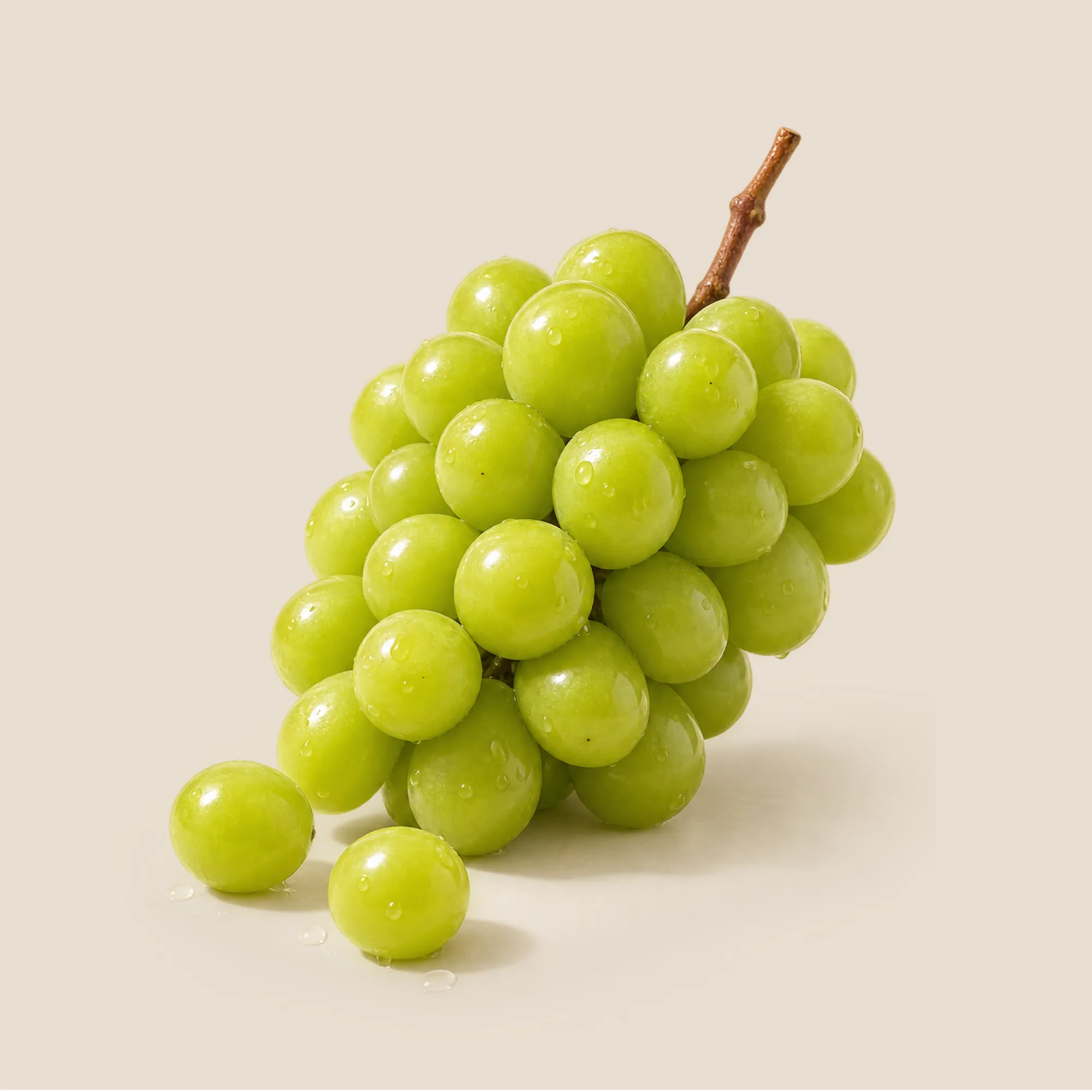 [딜크릿] 팜모닝 실속형 경북 샤인머스켓 2kg (4~5수) : 롯데ON
