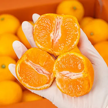 (농할)제주 달콤한 하우스 고당도 감귤 2kg 소과/로얄과 | 톡딜