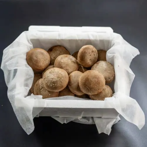 국내산 생표고버섯 500g