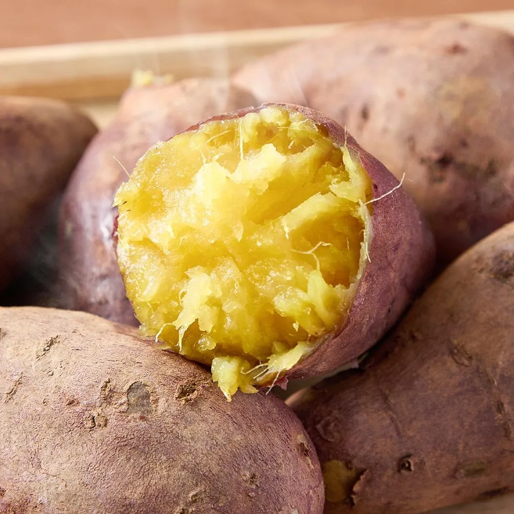 신선배송 26년 햇꿀고구마 3kg/5kg 세척/비세척 : 롯데ON