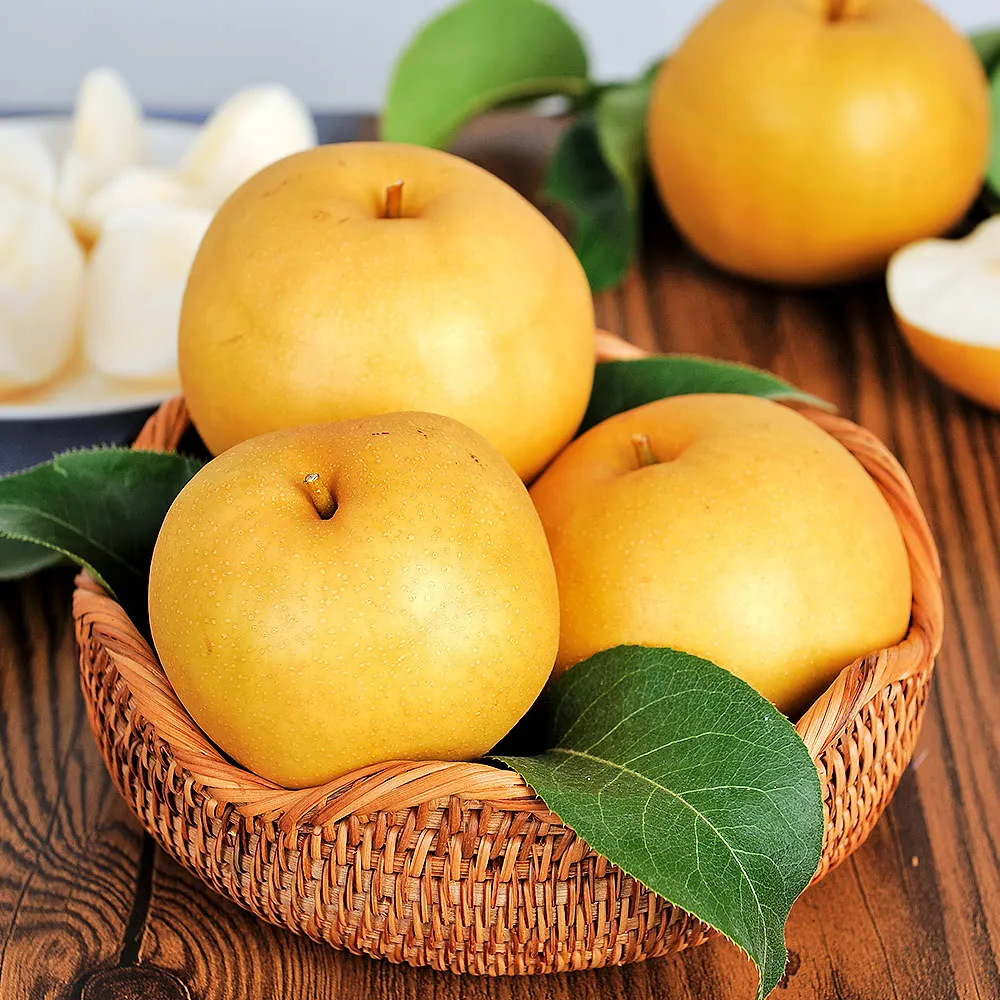 나주 햇배 5kg (8-10과) 특품
