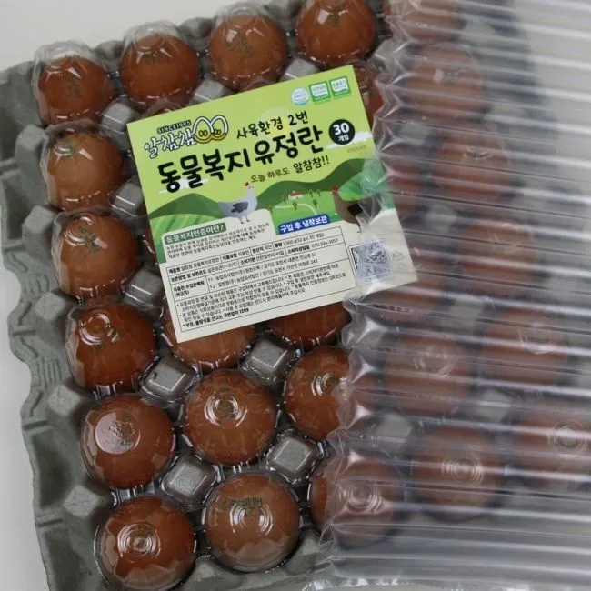 [농할 국내산][원천오복]2번난각 동물복지 유정란 30구 : 롯데ON