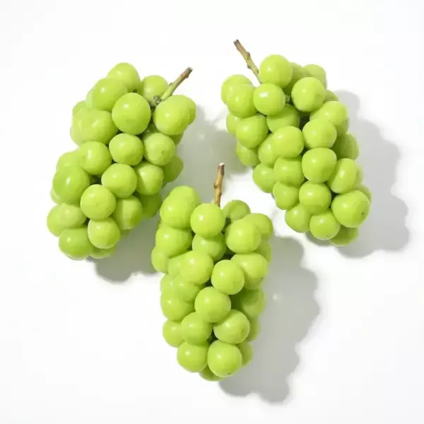 [최종 9,760원] [품질보장] 당도선별 17브릭스이상! 고당도 샤인머스켓 2kg 3~4수