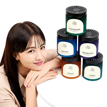 플.로.캄 대용량 실내 고체 탈취제 화장실 신발장 옷장 악취 냄새 제거 500g 1개입 | 톡딜