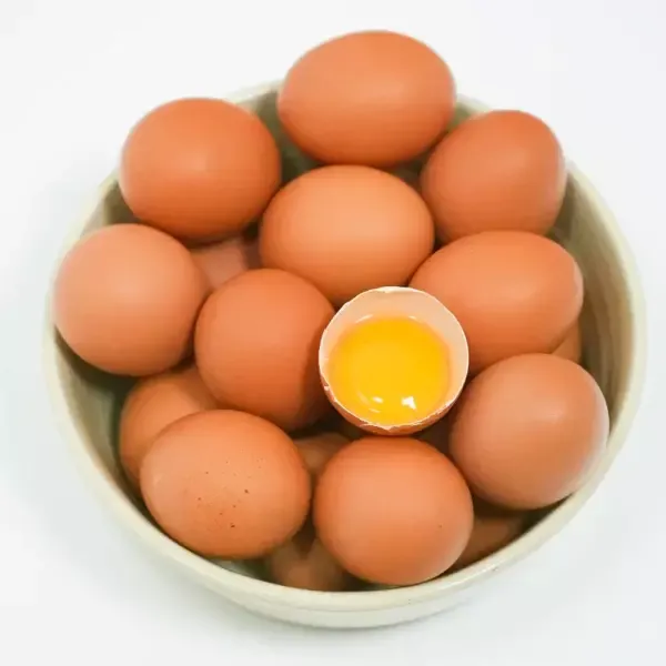 안심포장 무항생제 왕란 계란 달걀 30구, 60구