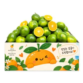 (신선집중) 감귤 (탑스20%)제주 햇 극조생감귤 로얄과 4.5kg