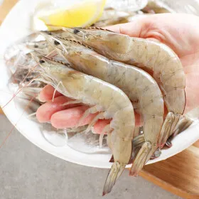 (신선집중) 생물 새우 1kg 35-45미내외 당일새벽 조업분 출고 100%국내산