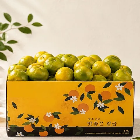 과일 > [산지직송] 26년 제주 햇 감귤 4.5kg 소과 로열과 | 오늘의집 쇼핑