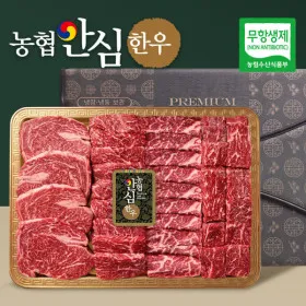 농협안심한우 1++ 등급 한우 선물세트 800g