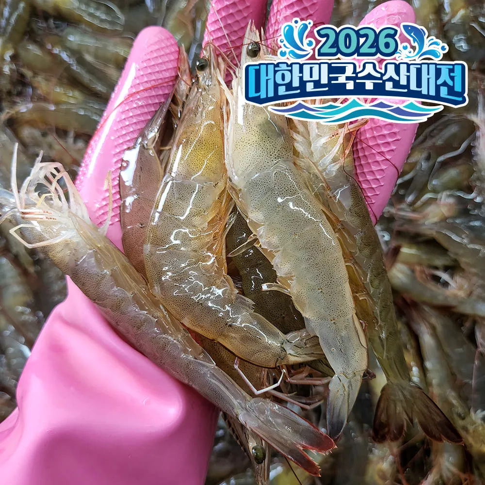 국내산 활 흰다리새우 1kg (35미 내외)