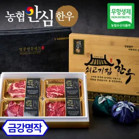 한우선물세트 농협안심한우 쇠고기집 육즙가득 명품 한우선물세트 명절선물 금강명작