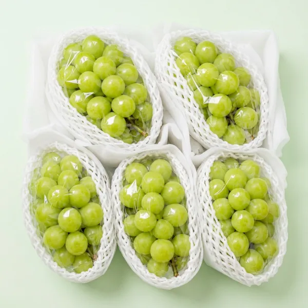 원물곳간 샤인머스캣 일반형, 2kg, 1박스