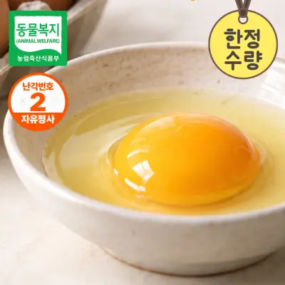 도시목장 초란 40구 난각번호 2번 신선란 구운란