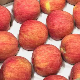 (신선집중) 경북 못난이 빨간사과 가정용 4KG 소과 (25-35과) (홍로/료가/시나노스윗)