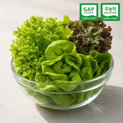 [딜크릿] 친환경 GAP 무농약 부여 유러피안 샐러드 채소 1kg 800g